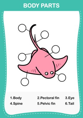 Stingray kelime uzuv / organ, resmi vücut parts.vector doğru sayıda yazmak