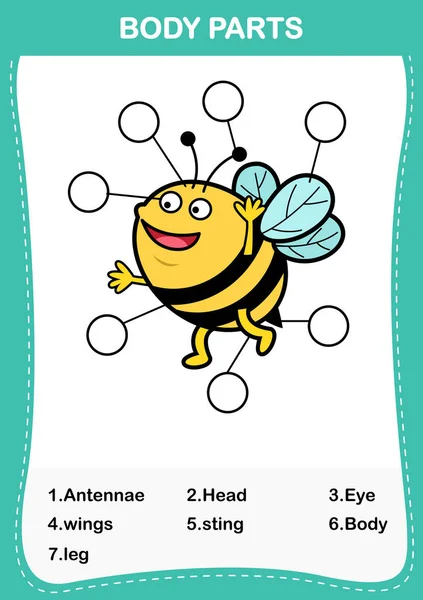 Illustration Bee Vocabulary Part Body Write Correct Numbers Body Parts — стоковый вектор
