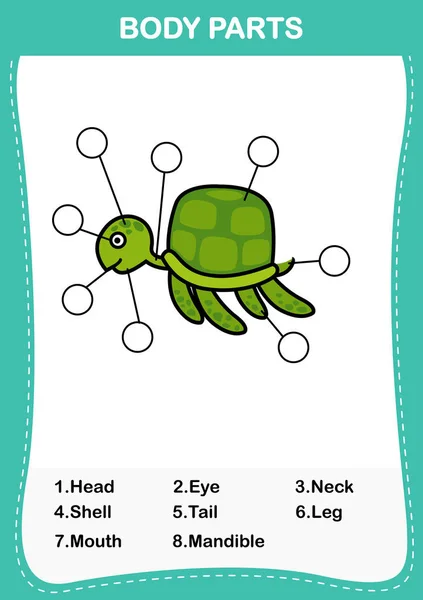 Illustration Turtle Vocabulary Part Body Write Correct Numbers Body Parts — стоковый вектор