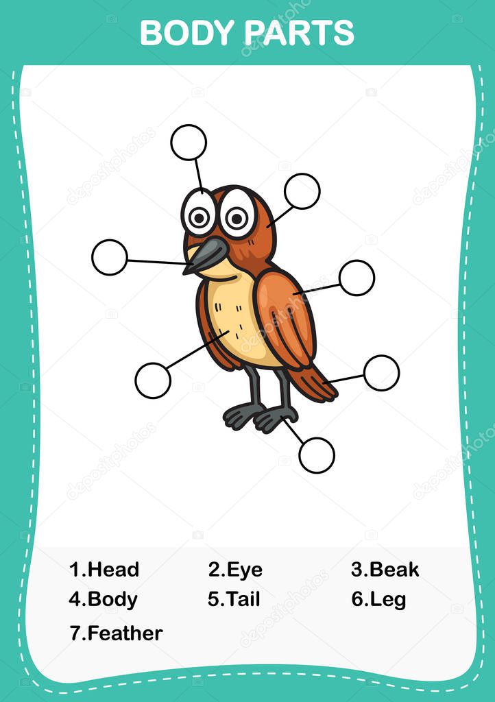 Illustration of bird vocabulary part of body,Write the correct numbers of body parts.vector