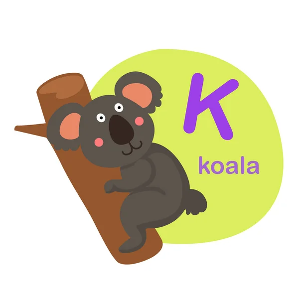 Illustrazione Alfabeto Isolato Lettera Koala Vettoriale Illustrazione — Vettoriale Stock