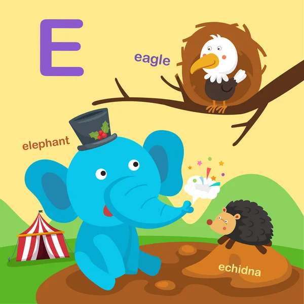 Illusztráció Elszigetelt Ábécé Levél Eagle Echidna Elephant Vector — Stock Vector