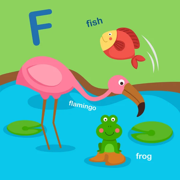 Alfabe Harf Fish Flamingo Frog Vector Illüstrasyon Izole — Stok Vektör