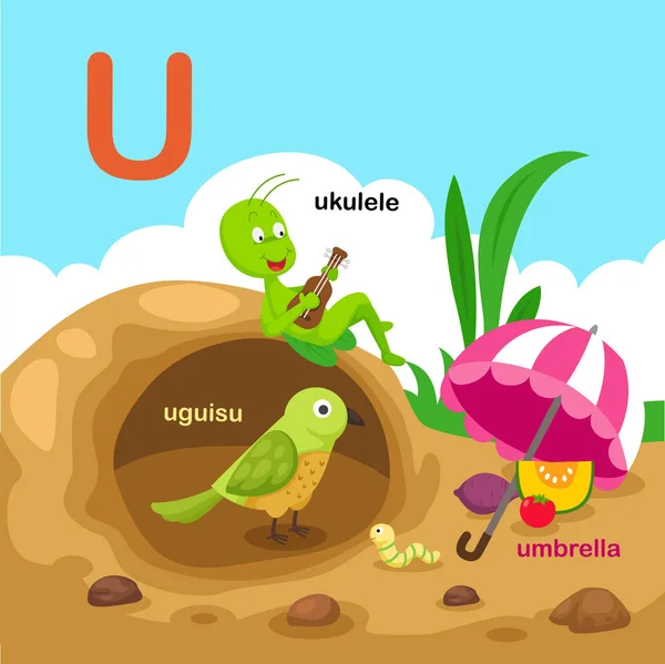 Ilustrace Samostatný Abecedě Písmeno Umbrella Uguisu Ukulele Vector — Stockový vektor