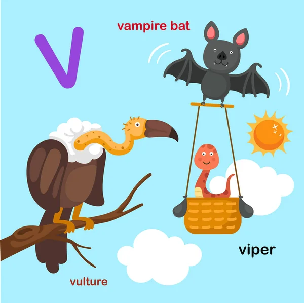 Illustration Isolated Alphabet Letter Vampire Bat Viper Vulture Vector — Stock Vector