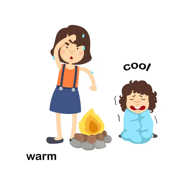 Words Warm Cool Vector Illustration — Stock Vector
