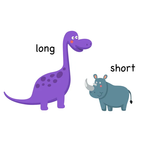 Tegenover de lange en korte vectorillustratie — Stockvector
