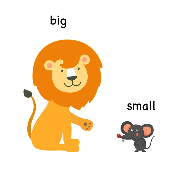 Premium Vector  Opposite words for big and small