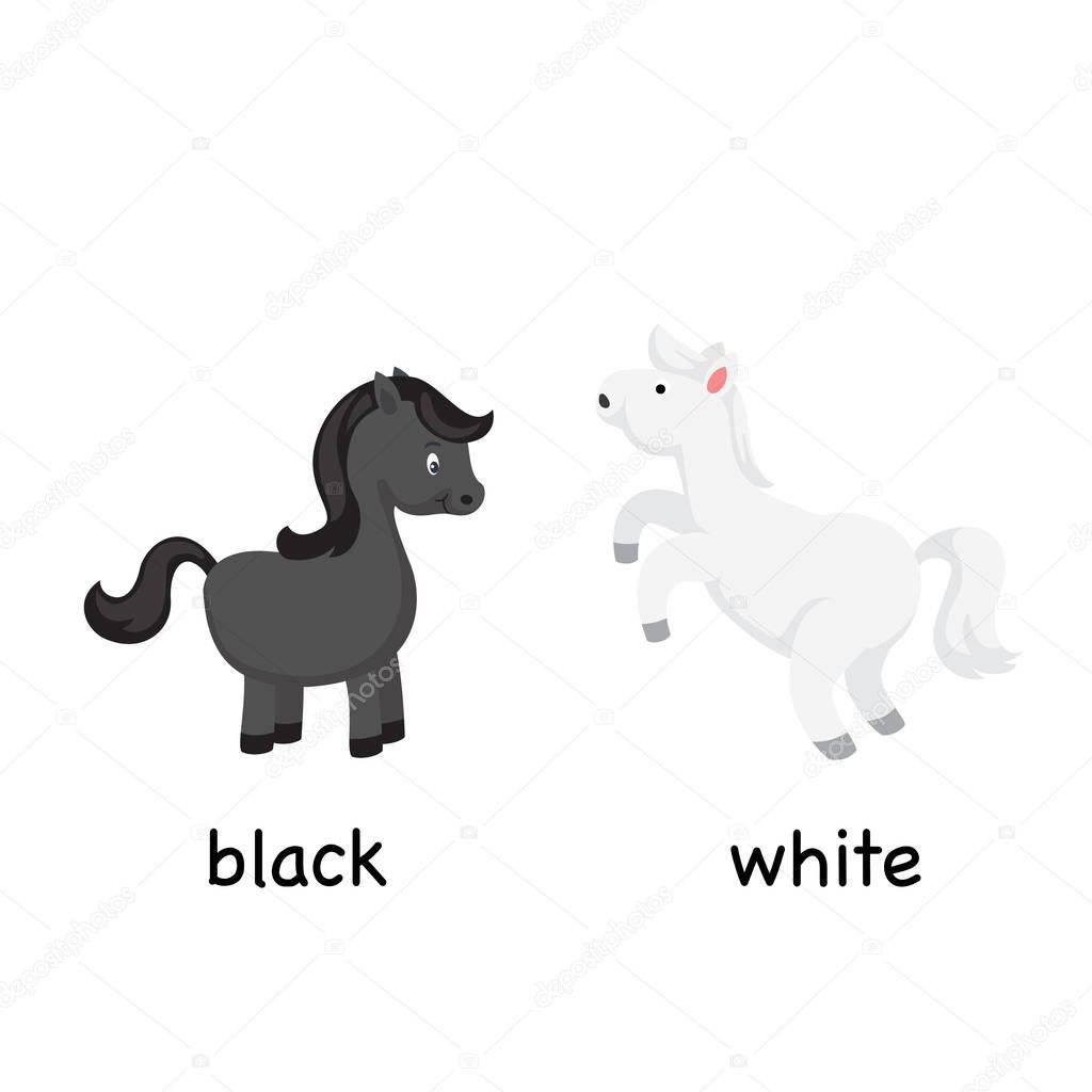 Opposite black and white vector illustration