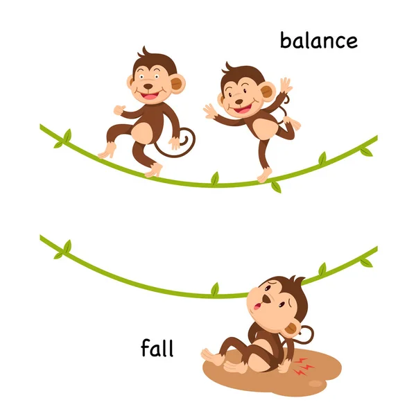 Illustration vectorielle de chute et d'équilibre opposée — Image vectorielle