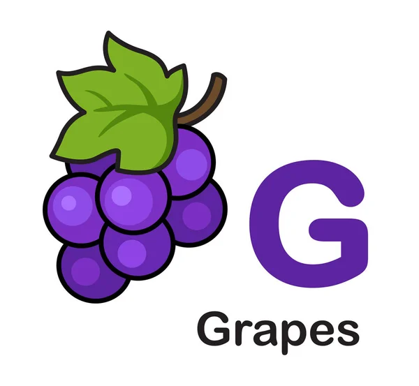 Alphabet Letter Grapes Vector Illustration — Stock Vector