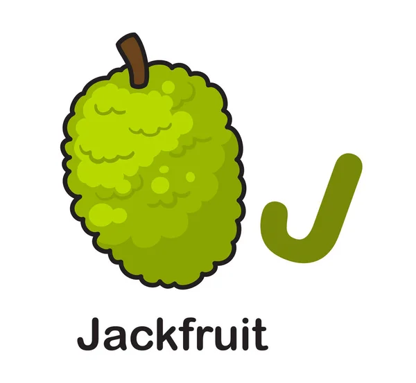 Alphabet Letter Jackfruit Vector Illustration — Stock Vector