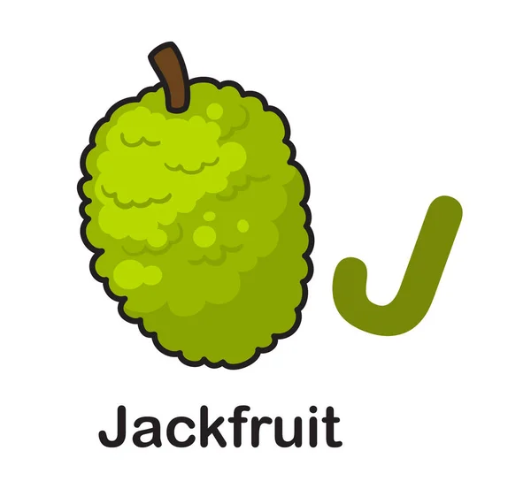 Ilustrasi Vektor Jackfruit Alfabet - Stok Vektor