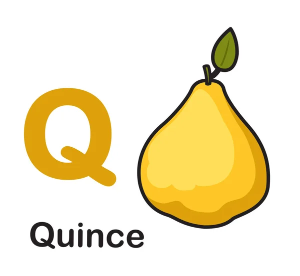 Alfabet letter Q-Quince vector illustratie — Stockvector