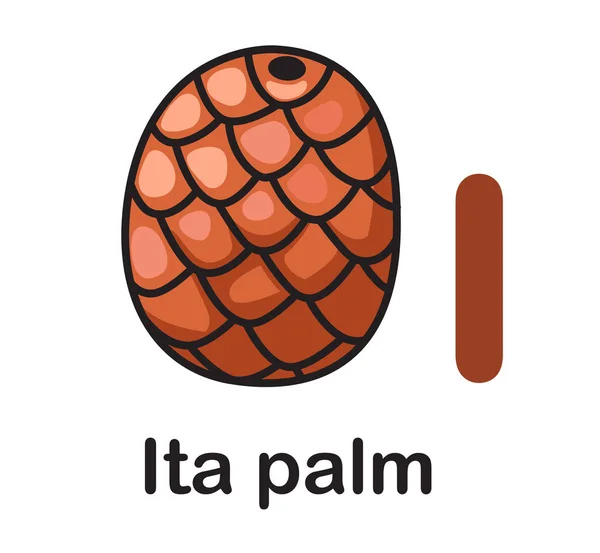 Alphabet Lettre I-Ita illustration vectorielle de palmier — Image vectorielle