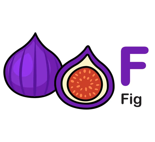 字母字母 Fig 矢量图 — 图库矢量图片