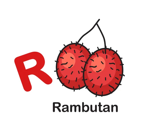 Алфавитная векторная иллюстрация буквы R-Rambutan — стоковый вектор