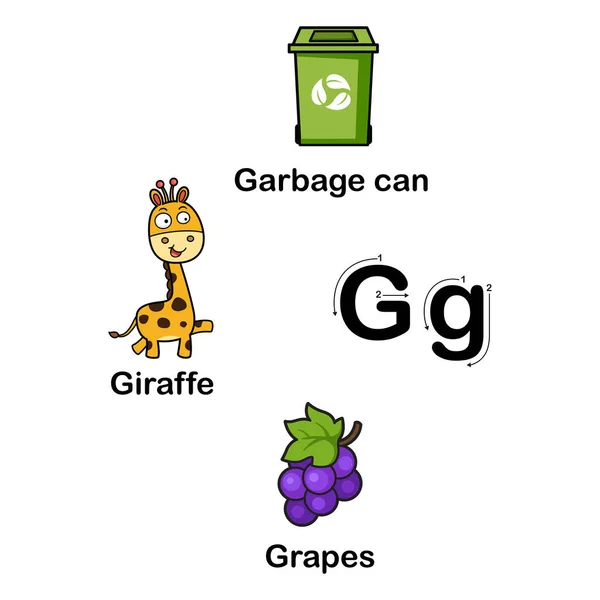 Αλφάβητο Γράμμα G-σκουπίδια μπορεί, σταφύλια, καμηλοπάρδαλη διανυσματική απεικόνιση — Διανυσματικό Αρχείο