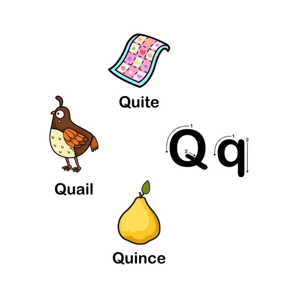 アルファベット文字｜Q-quail, quince, quiteベクトルイラスト — ストックベクタ