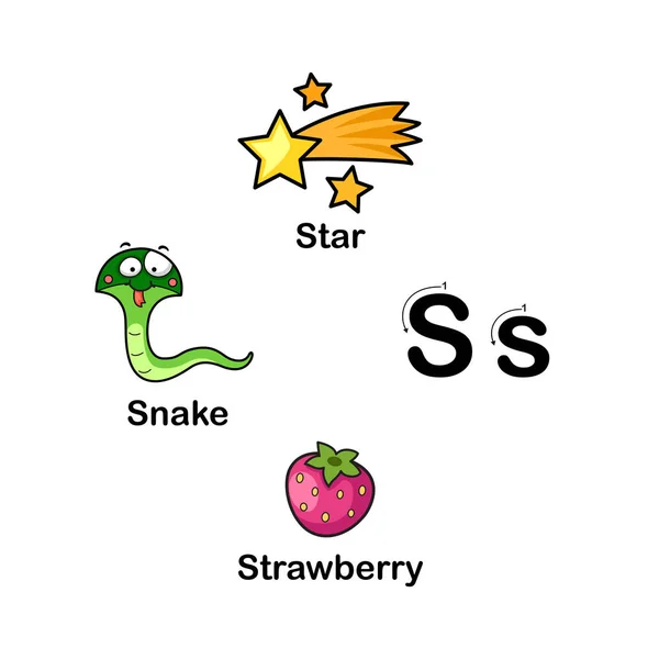 Alfabet Huruf S-ular, bintang, strawberry vektor ilustrasi - Stok Vektor