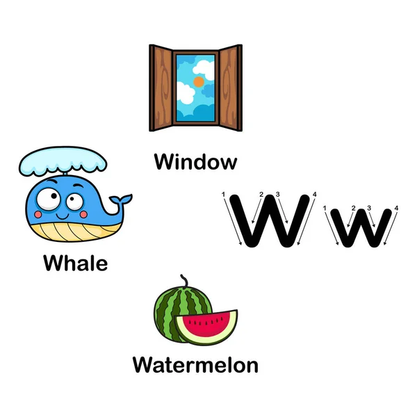 Alfabet Letter W-watermeloen, walvis, venster vector illustratie — Stockvector