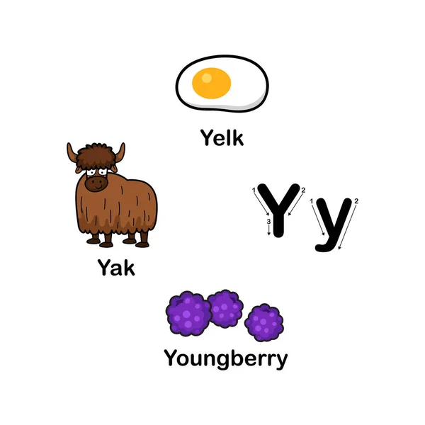 Alphabet Buchstabe y-yak, Yelk, Youngberry Vektor Illustration — Stockvektor