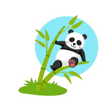 Bambu illüstrasyonunda asılı panda, vektör