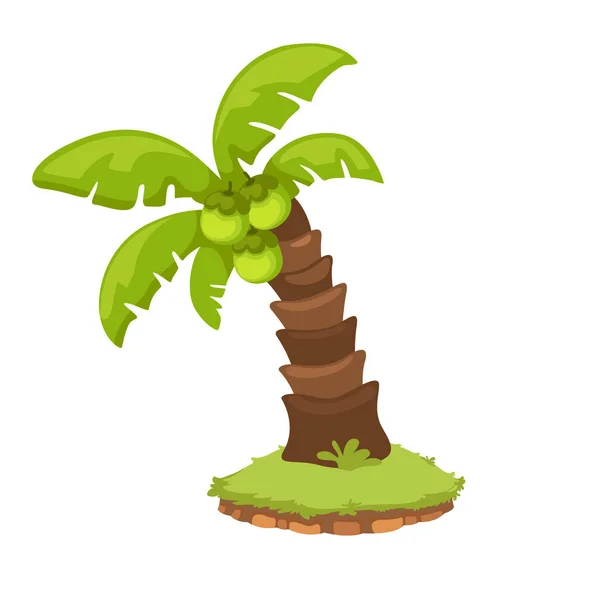 Illustration der Kokospalme isoliert auf weißem Hintergrund v — Stockvektor