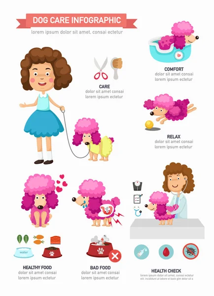 Kutya Ellátás Infografikus Vektor Illusztráció — Stock Vector