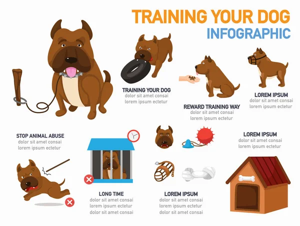 Training Your Dog Infographic Vector Illustration — Stock Vector
