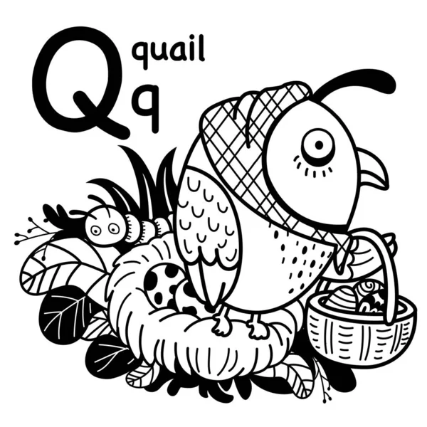 Hand Drawn Alphabet Letter Quail Illustration Vector — 스톡 벡터