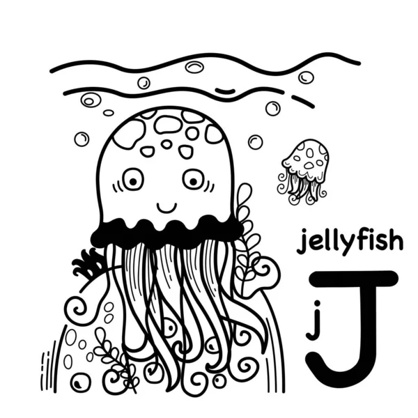 字母字母J Jellyfish说明 — 图库矢量图片