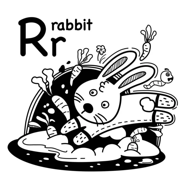 Alfabeto Lettera Rabbit Illustrazione Vettore — Vettoriale Stock