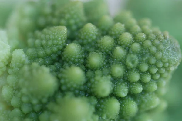 Repollo Verde Romanesco Macro Fotografía — Foto de Stock