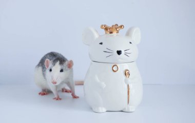 Süslü siyah beyaz bir fare, kraliyet tacını takan fare şeklinde porselen bir heykelin yanında duruyor..