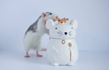 Süslü siyah beyaz bir fare, kraliyet tacını takan fare şeklinde porselen bir heykelin yanında duruyor..