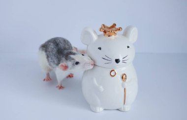 Süslü siyah beyaz bir fare, kraliyet tacını takan fare şeklinde porselen bir heykelin yanında duruyor..
