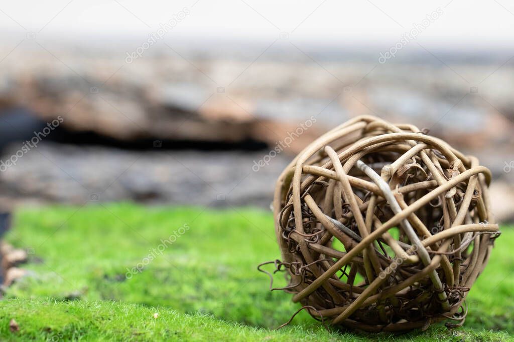 A ball of rattan, intertwined branches lies on the green grass. Close-up.