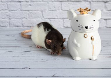 Süslü siyah beyaz bir fare, kraliyet tacını takan fare şeklinde porselen bir heykelin yanında duruyor..