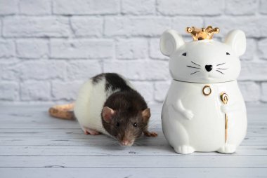 Süslü siyah beyaz bir fare, kraliyet tacını takan fare şeklinde porselen bir heykelin yanında duruyor..