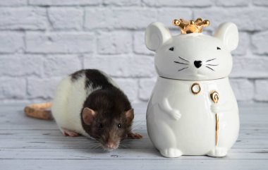 Süslü siyah beyaz bir fare, kraliyet tacını takan fare şeklinde porselen bir heykelin yanında duruyor..