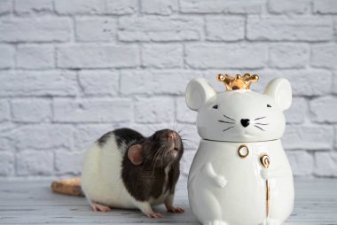 Süslü siyah beyaz bir fare, kraliyet tacını takan fare şeklinde porselen bir heykelin yanında duruyor..