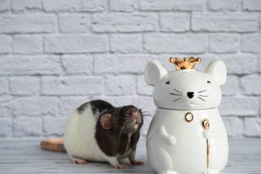 Süslü siyah beyaz bir fare, kraliyet tacını takan fare şeklinde porselen bir heykelin yanında duruyor..