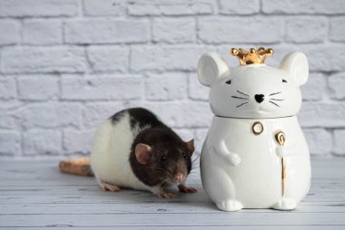 Süslü siyah beyaz bir fare, kraliyet tacını takan fare şeklinde porselen bir heykelin yanında duruyor..