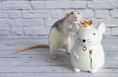 Süslü siyah beyaz bir fare, kraliyet tacını takan fare şeklinde porselen bir heykelin yanında duruyor..