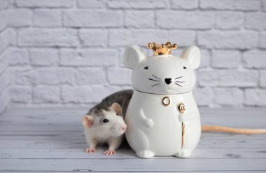 Süslü siyah beyaz bir fare, kraliyet tacını takan fare şeklinde porselen bir heykelin yanında duruyor..