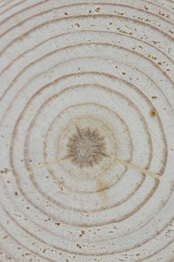 Tahta meşe ağacı yüzeyi kesmiş. Devrilmiş bir ağaç gövdesinin ya da kütüğünün koyu kahverengi ve turuncu tonları. Ağaç halkalarının pürüzlü organik dokusu.