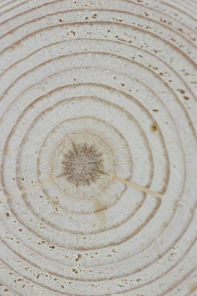 Tahta meşe ağacı yüzeyi kesmiş. Devrilmiş bir ağaç gövdesinin ya da kütüğünün koyu kahverengi ve turuncu tonları. Ağaç halkalarının pürüzlü organik dokusu.