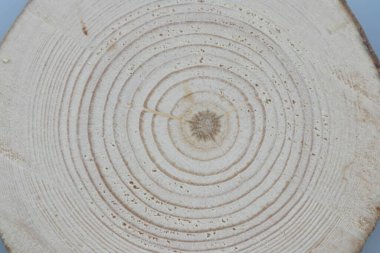 Tahta meşe ağacı yüzeyi kesmiş. Devrilmiş bir ağaç gövdesinin ya da kütüğünün koyu kahverengi ve turuncu tonları. Ağaç halkalarının pürüzlü organik dokusu.