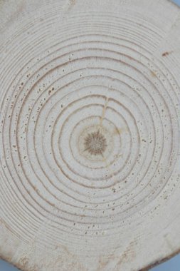 Tahta meşe ağacı yüzeyi kesmiş. Devrilmiş bir ağaç gövdesinin ya da kütüğünün koyu kahverengi ve turuncu tonları. Ağaç halkalarının pürüzlü organik dokusu.